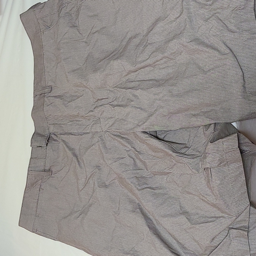 Tasso Elba Shorts